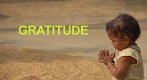 Gratitude 2